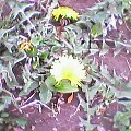 1057a8f4.jpg
