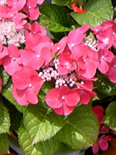 27dc563a.jpg