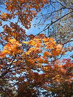 71a82ab8.jpg