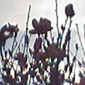 88d72533.jpg