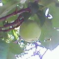 fefc37f3.jpg