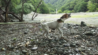 先客ありでオンリード