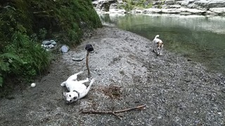 貸切だったらなぁ。。。