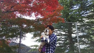 モミジをバックに