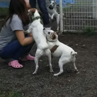 お留守番ありがと♡