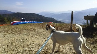 まさかの先客^^;