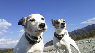 のんびり〜♪