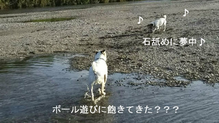 ♪