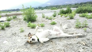 車に乗る間際になって^^;