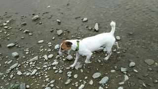 ハルは気の向くまま♪