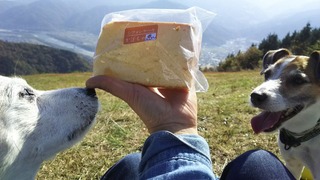 産直で買ったかぼちゃのシフォン