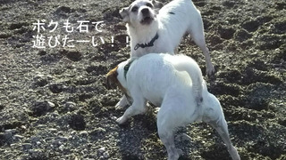 他力本願なビル^^