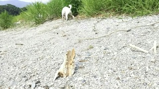 ^^;