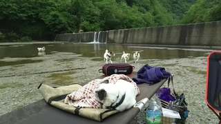 ビルちんZzz...の向こうでは^^