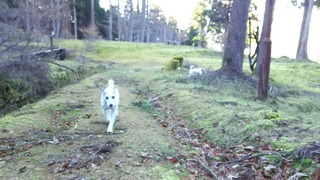帰りたくなったビル
