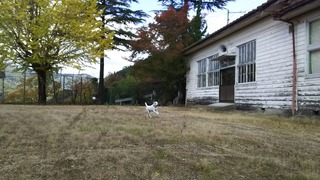 山の学校にて