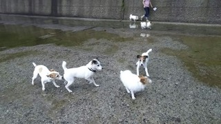 家族ごと^^
