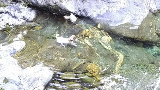 岩の一部とは知らず^^