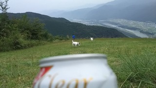 みんなが散策してる間に