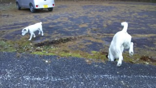 ビルの姿が見えないと思ったら