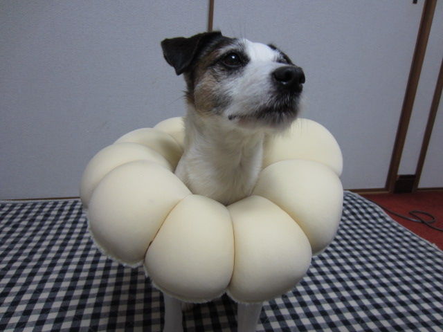 26 002