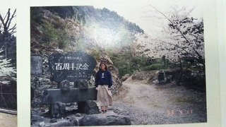 1993.4.11
