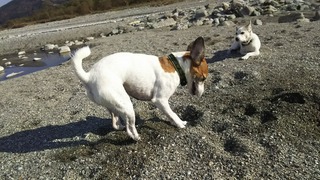 なんでソコなん?