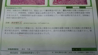 検査結果