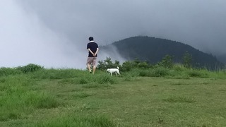 徐々に晴れ。。。
