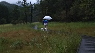 黒沢湿原