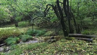 松尾ダム→腕山