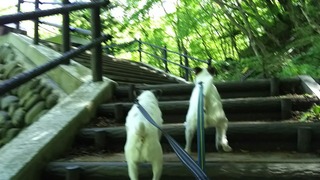 上った先には...