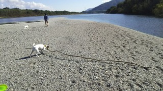 ヒトが持ってるものが気になるハル