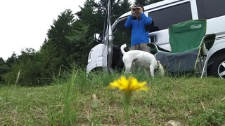 たっちゃんが観てる先では
