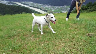 張り切りビル