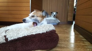 ^^