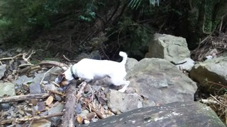 足元悪し。。。