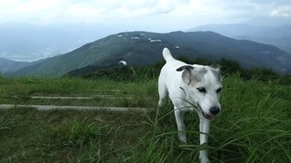 きれいに霧が晴れた。。。