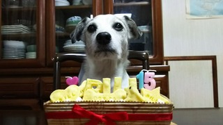 ビル☆15歳