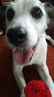 かわいぃ〜♡