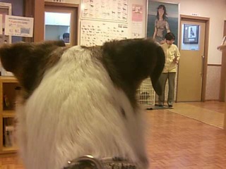 �Թ缼��