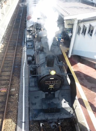 Dsc_1230_327x448 Dsc_1230_327x448