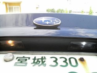P1000619_2