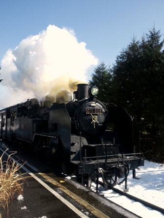 Dsc_1236_336x448 Dsc_1236_336x448