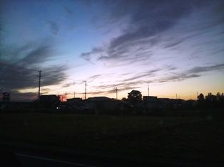 P1000095