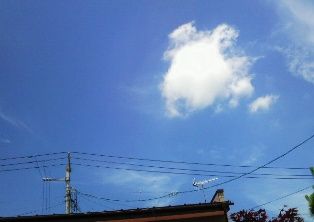 P1000012