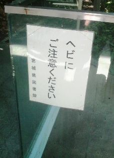 P1000918