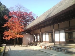 P1001005