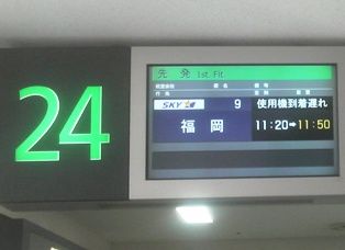 P1001052