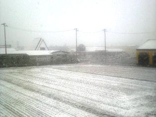 P1000132
